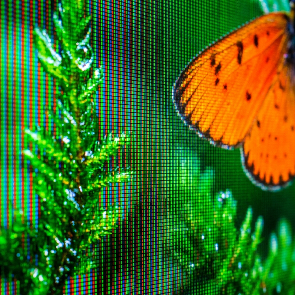 Extreme close up of a high definition television screen showing vivid nature scenery with incredible detail and bright colors, macro photography style, 1:1